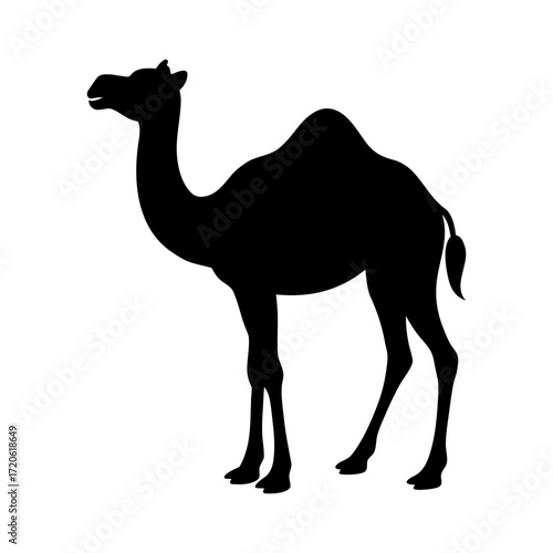 Black silhouette of a camel standing against a white background