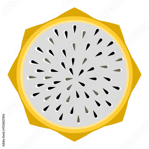 Yellow Pitaya dragonfruit slice vector illustration 