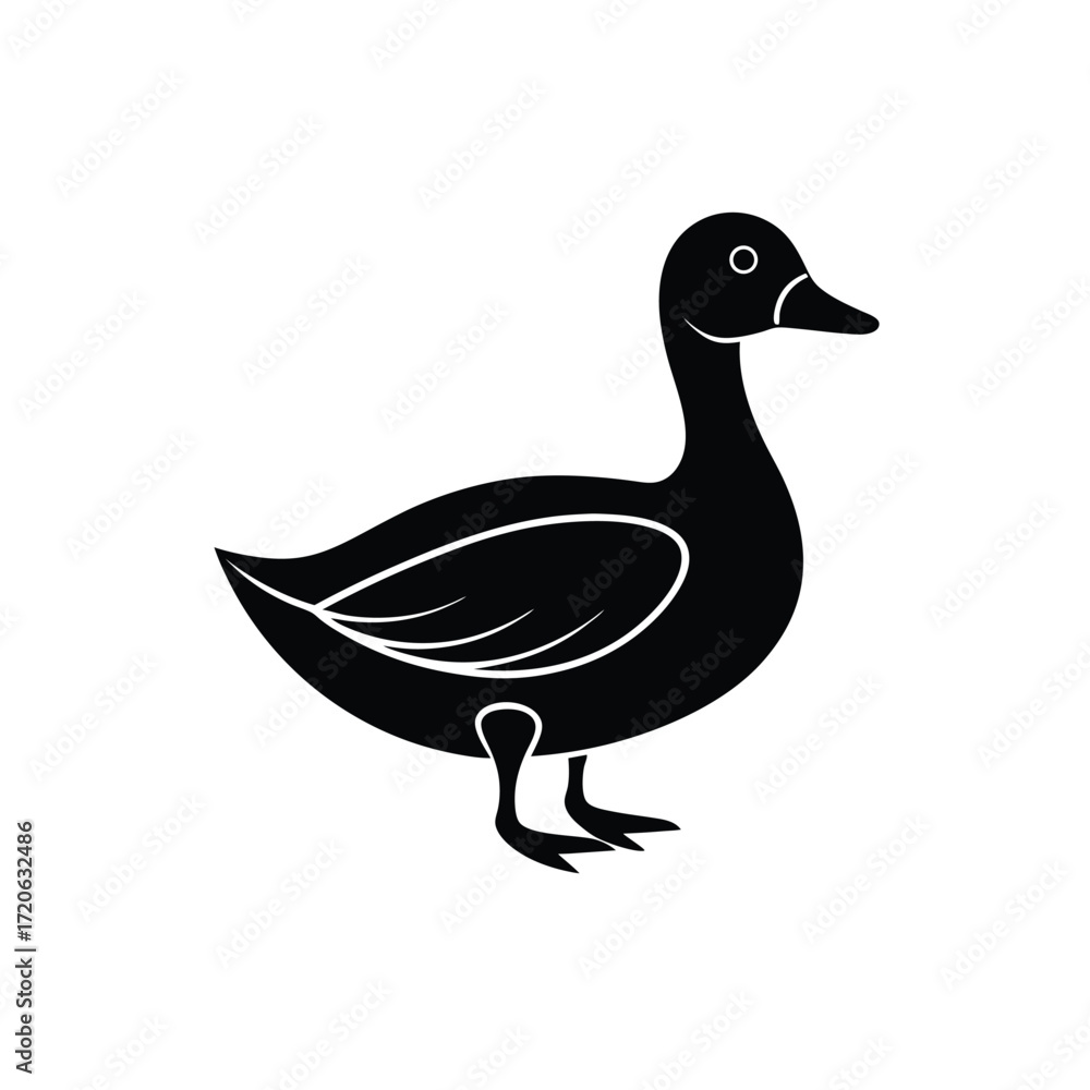 Obraz premium Adobe Illustrator Artwork