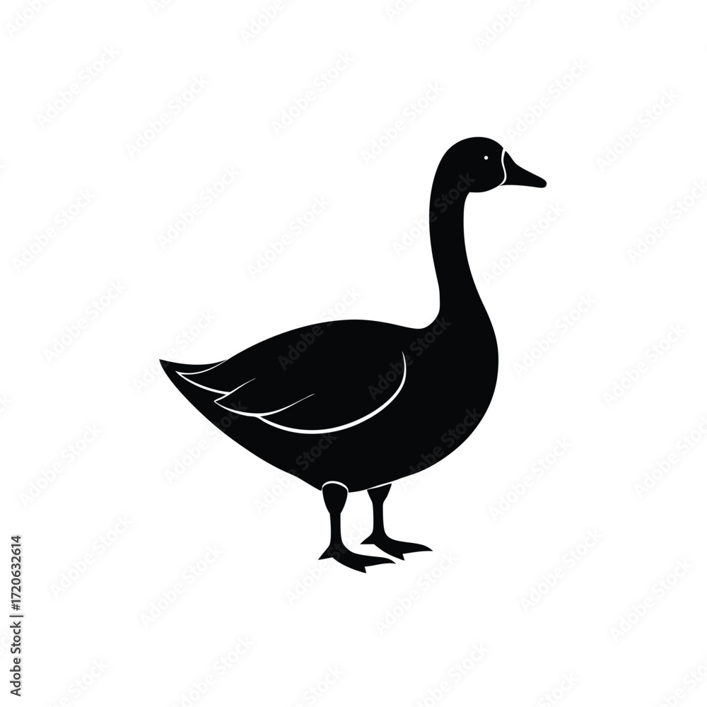 Obraz premium Adobe Illustrator Artwork