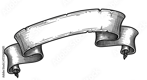 Classic vintage scroll banner ribbon drawing with detailed engraving technique vector illustration