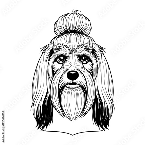Elegant Line Art Portrait of a Dog with a Topknot Hairstyle