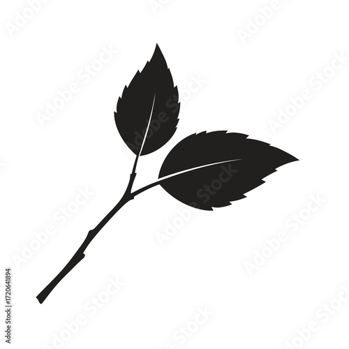 Two black leaves on a branch silhouette isolated on white background