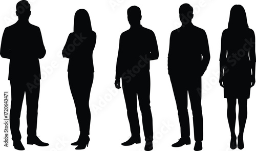 Silhouette of business people standing, man and woman team, office workers posing, professional group illustration, teamwork concept, corporate staff vector