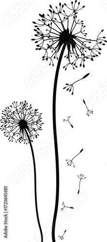 Dandelion Wishes: Delicate dandelion seeds float gracefully against a soft backdrop, embodying nature's subtle yet powerful ability to spread and flourish.