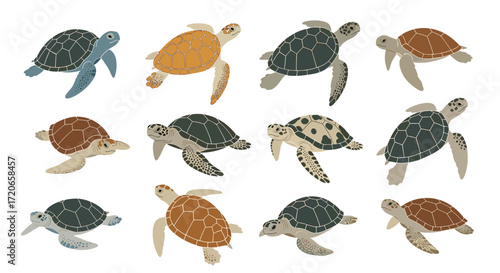 A collection of various sea turtles swimming in the ocean water in a pixel art style.
