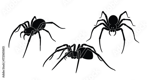 Three detailed black silhouettes of spiders on a white background.