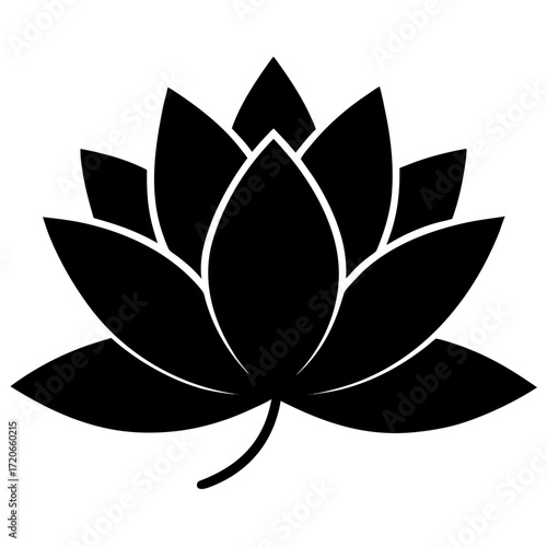 nymphaea alba silhouette vector on white background