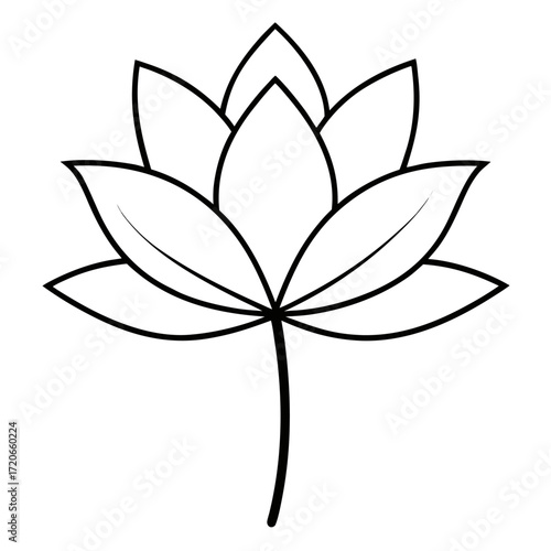 nymphaea thermarum  flower line art vector on white
