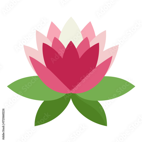 nymphaea alba var rubra (Red European White Waterlily, Scarlet Water Lily, Rubra Waterlily) vector on white