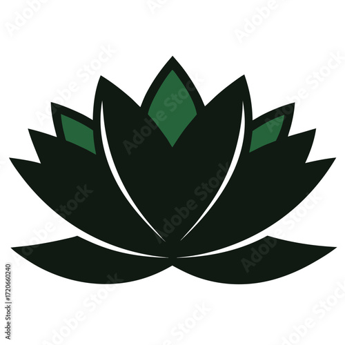silhouette nymphaea thermarum flower vector illustrtaion isolated on white