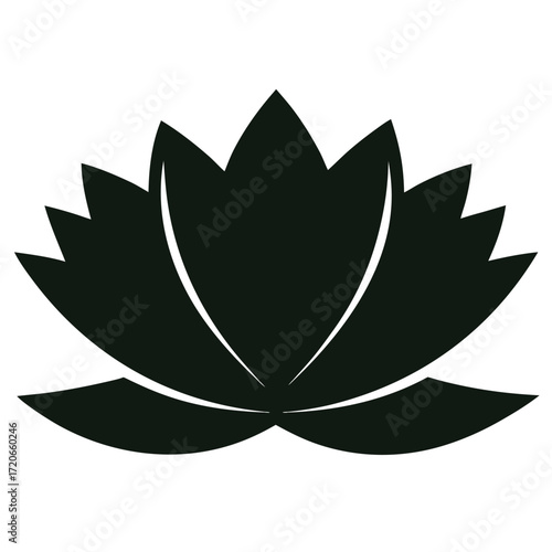 nymphaea thermarum silhouette vector on white