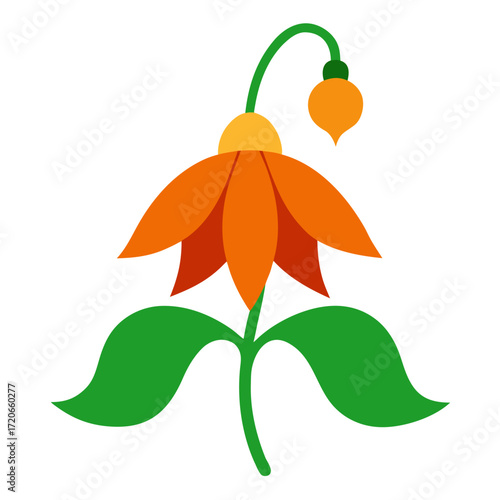 orange bells flower on white