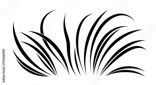 A stylized graphic of grass blades with flowing, sharp lines. This abstract botanical vector element is isolated on a white background for easy design use.