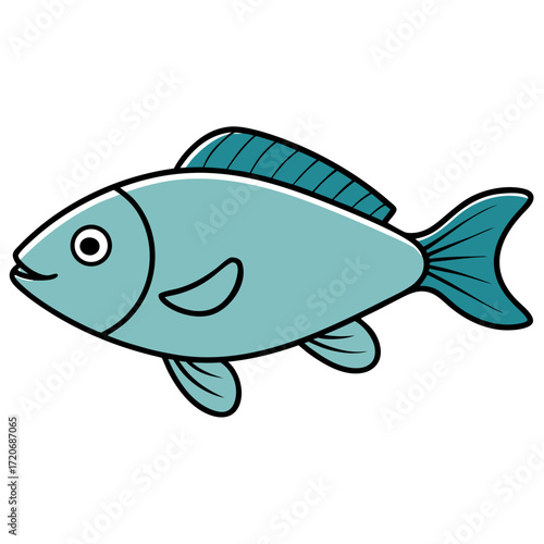 fish on a white background