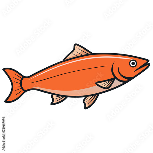 fish on a white background