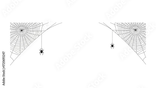 Spider Web's Symphony: A graphic rendering that is a minimalist composition of spider and its meticulously crafted web, set against a seamless canvas of subtle tones.