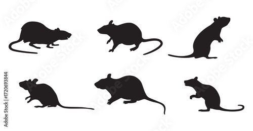 rat rodent set collection pack bundle black shape icon silhouette vector flat illustration design on white background