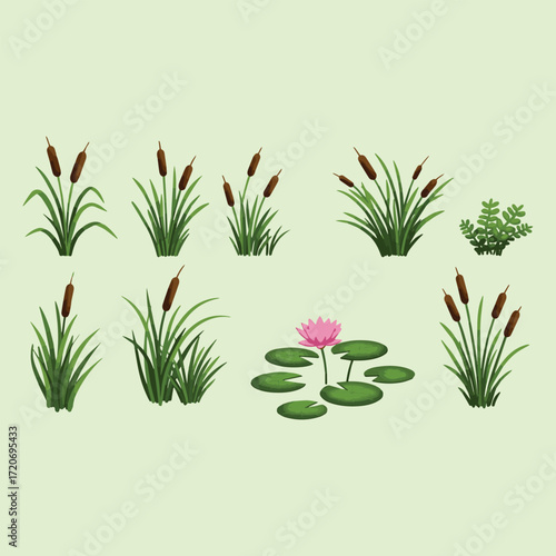 Wetland Plants And Water Lily Collection cattail bulrush