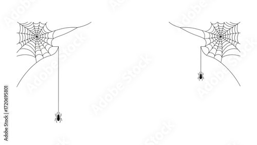 Spider Web Design: A minimalist illustration showcases the intricate design of spider webs, a testament to nature's artistry and the captivating world of spiders.