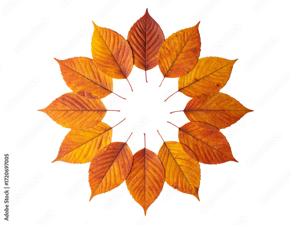 Fototapeta premium Round Tablecloth with Autumn Leaves Design