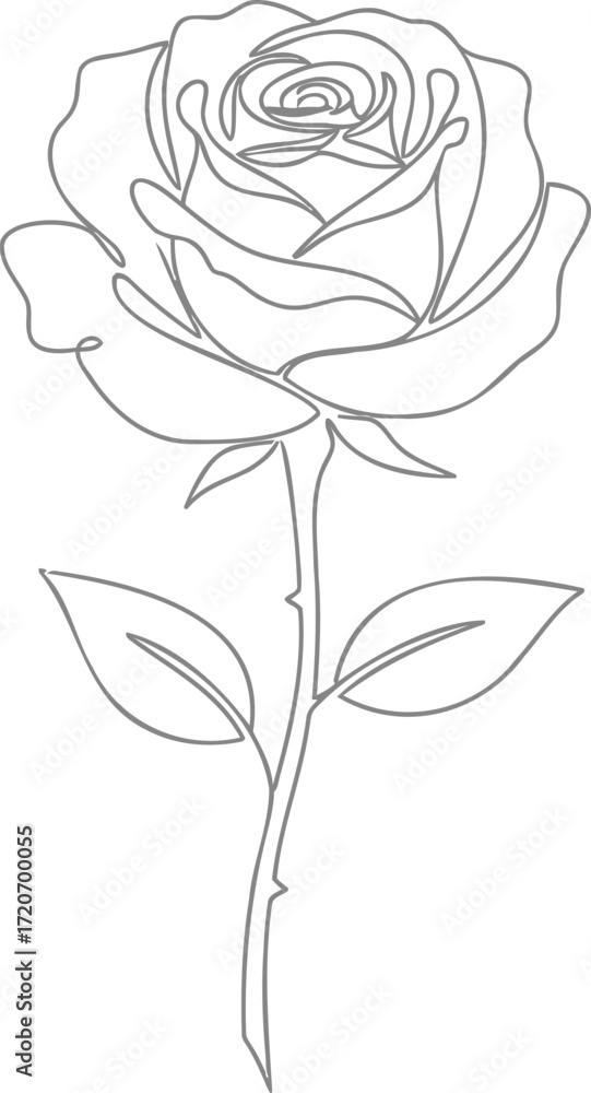 Obraz premium Romantic Rose Flower in One Continuous Line Art Style