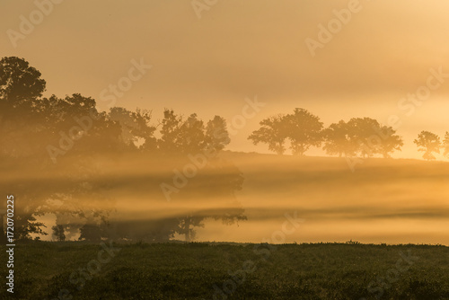 Layers of ground fog at sunrise with a hill and trees in the background. 