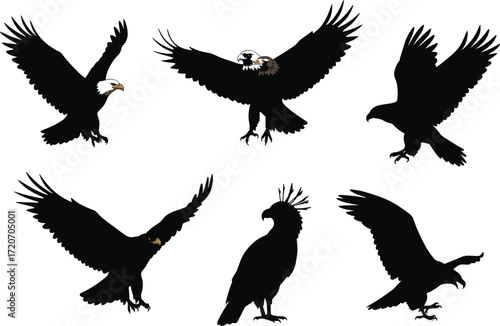 Set of eagle and hawk bird silhouettes flying and perched, majestic raptor illustrations showing wingspan, strength, sharp beak, and talons.