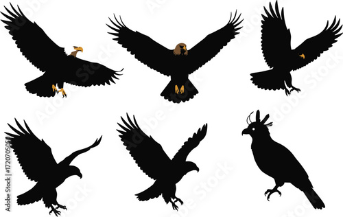 Set of eagle and hawk bird silhouettes flying and perched, majestic raptor illustrations showing wingspan, strength, sharp beak, and talons.