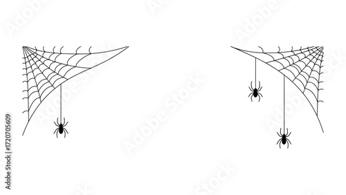 Spooky Cobwebs and Spiders: This image captures the essence of Halloween, featuring spooky cobwebs adorned with hanging spiders, evoking a chilling atmosphere.