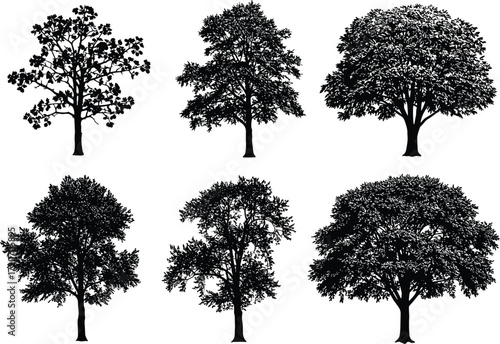 Silhouette collection of different tree shapes isolated on white background, detailed vector illustration set of natural forest and landscape design