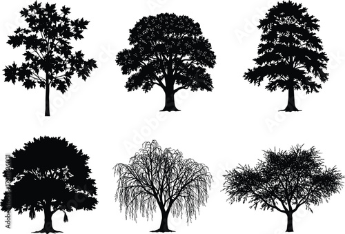 Silhouette collection of diverse tree species isolated on white background, detailed vector illustration set for natural landscape design and decoration projects