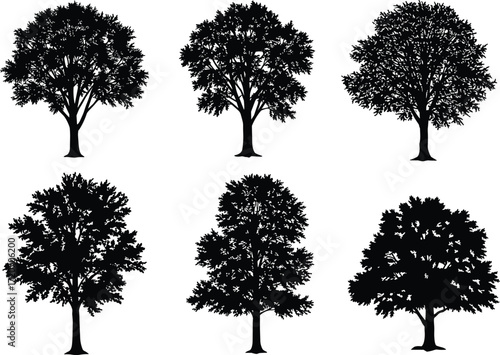 Silhouette collection of various detailed trees isolated on white background, vector illustration set of natural forest elements for design projects