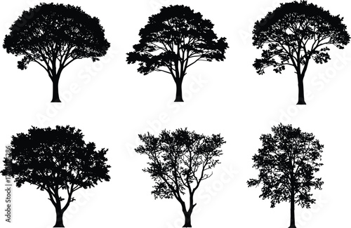 Silhouette collection of various tree designs isolated on white background, detailed vector illustration set for natural forest and landscape decoration