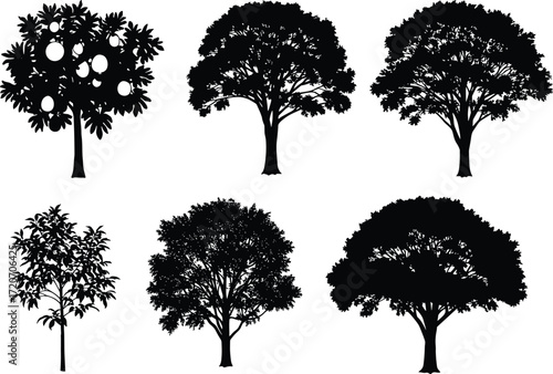 Silhouette vector illustration of different tree shapes collection, natural forest elements, black foliage design isolated on white background for decoration