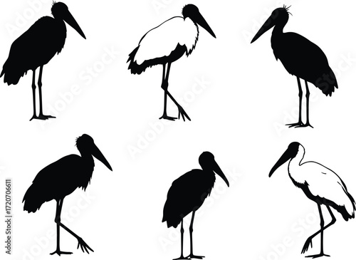 WebStork and crane silhouettes vector collection showing elegant wading birds with long legs and beaks, wildlife artwork for nature design.