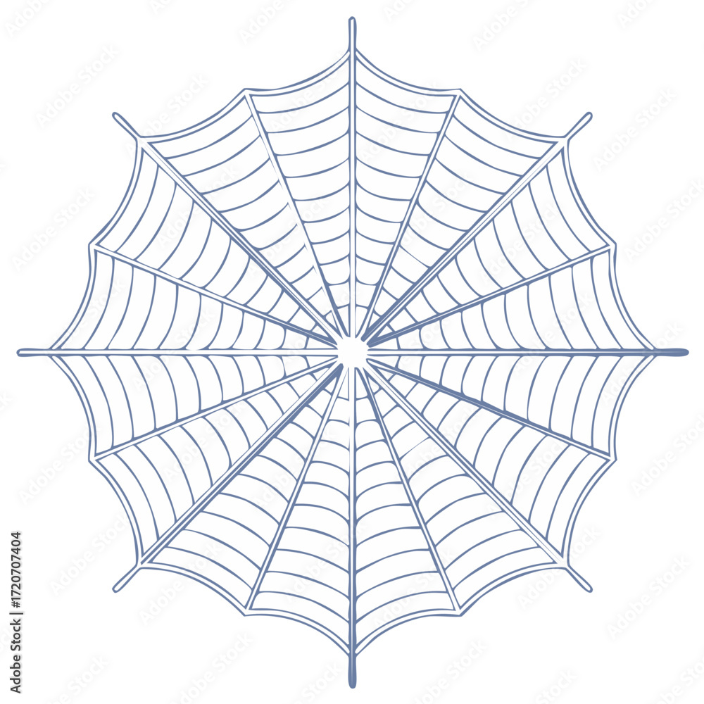 Obraz premium Intricate Spider Web Design with Radial Structure