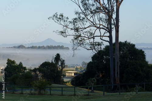 Wallpaper Mural Misty morning view, with a mountain in the distance. Veresdale Scrub, Queensland, Australia Torontodigital.ca