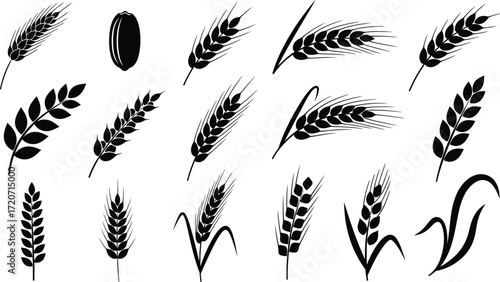Wheat grain vector set collection agriculture harvest silhouette