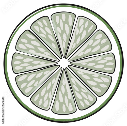 Illustration of a sliced lime with seeds, fresh citrus fruit.