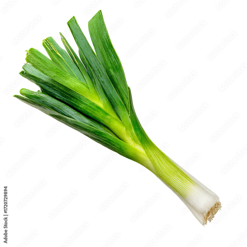 Fototapeta premium Fresh green leek, vibrant leaves (2)