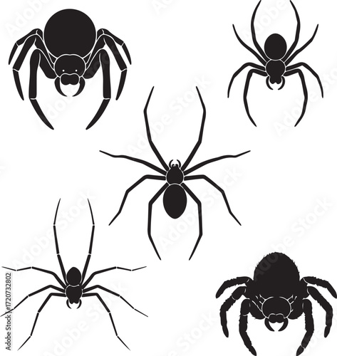Spider Silhouette Collection: A striking collection of diverse spider silhouettes, perfect for projects needing a touch of nature's creepy charm.