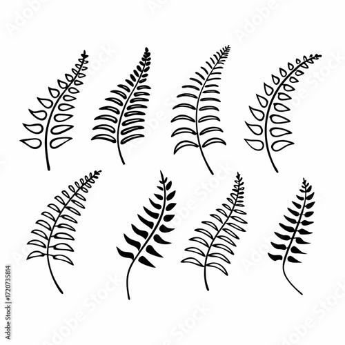 A collection of hand drawn black fern leaf silhouettes on a white background representing nature and botanical elements for decorative use
