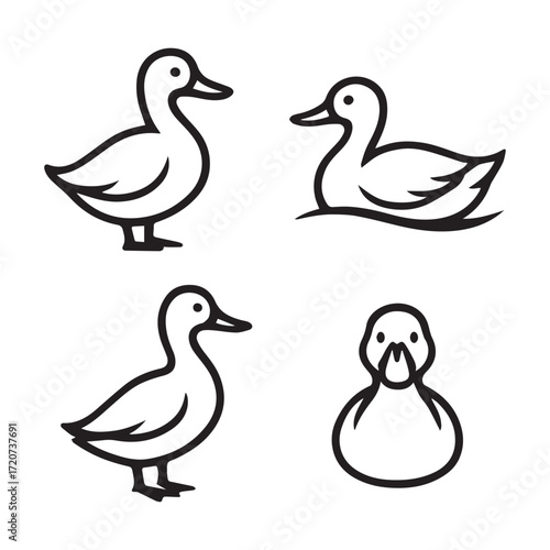 A cartoon vector illustration of a set of mallard ducks and ducklings, a farm animal family, isolated on a white background