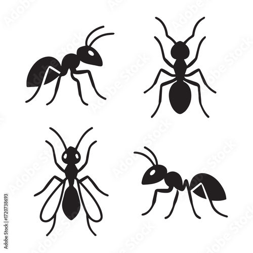 A black pest insect ant with a red head and jaw on a white background, isolated with a leg and antenna