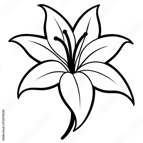 Elegant Lily Flower Outline Vector Illustration for Coloring and Design