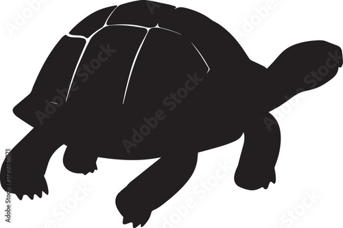  Wild Tortoise Silhouette Vector Illustration