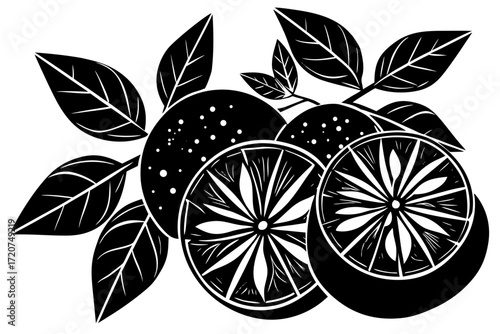 Vector art of oranges and leaves in a woodcut style art