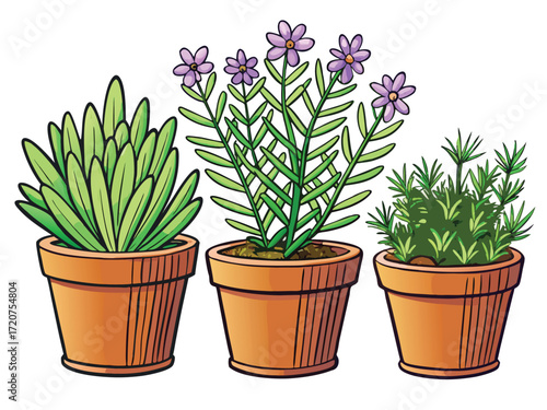 Potted plants with green foliage and purple flowers rosemary green leaves