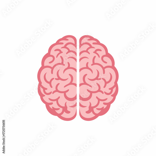Minimalist Flat Brain Diagram Anatomical Cerebrum Structure Medical Organ